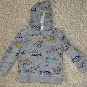Boys, Hooded, lightweight sweatshirt